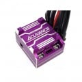 Xarvis XX Sensor Controlled Brushless Sensored ESC System Purple For 1/10 RC